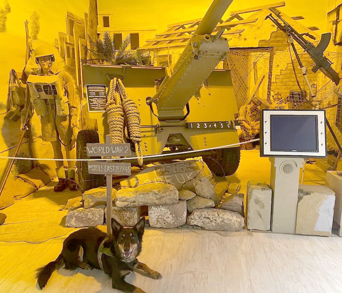 Jasper searches a WWII display